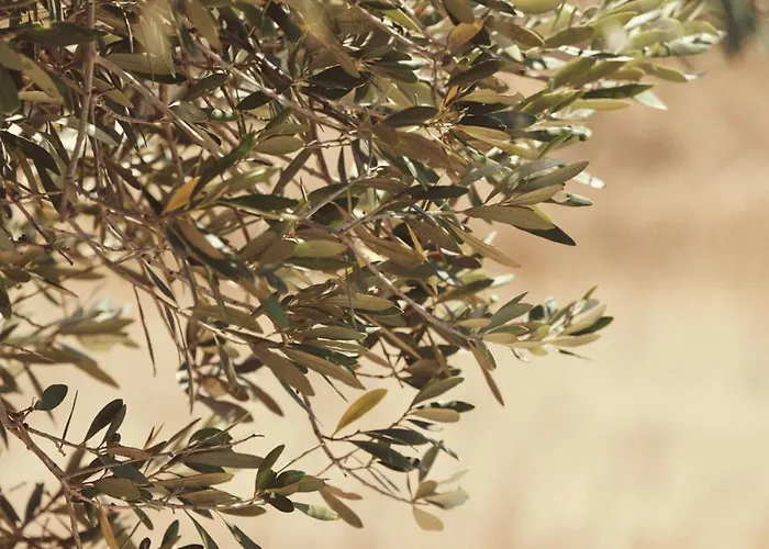 Retreat Paros, Fisherman's House, The Net * Парос