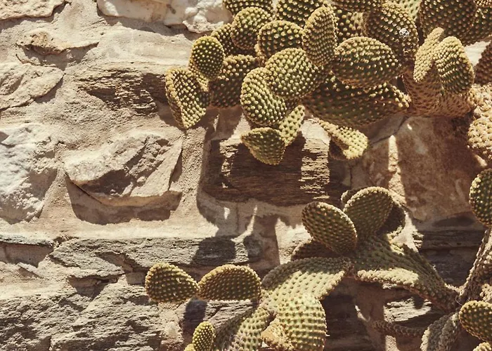 Апартаменты Retreat Paros, Fisherman's House, The Net *