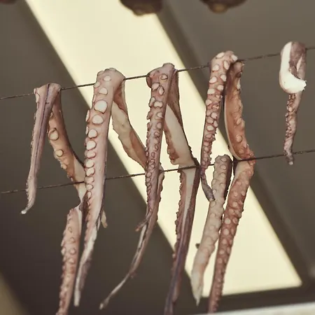 Retreat Paros, Fisherman's House, The Net *