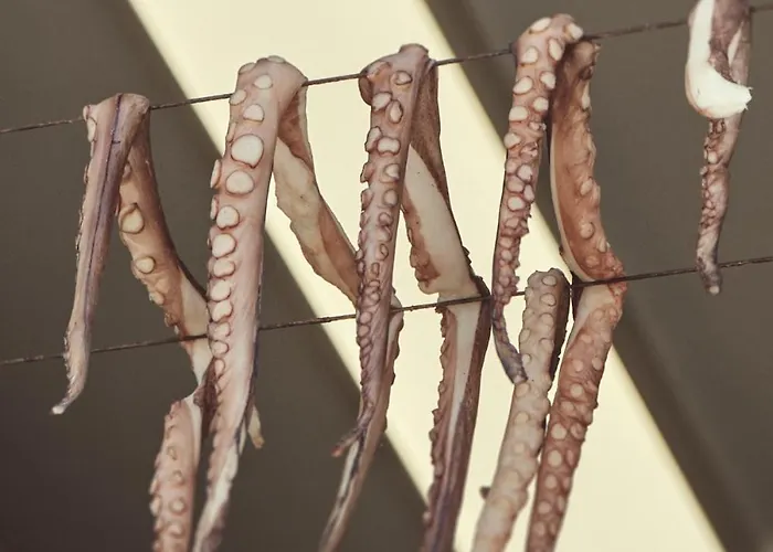 Retreat Paros, Fisherman's House, The Net *